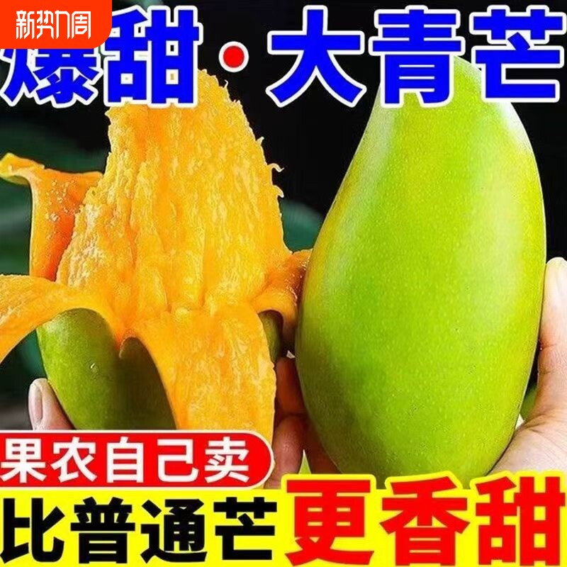 应季芒果大青芒生吃酸脆新鲜水果越南青皮金煌甜心芒大果农场时令