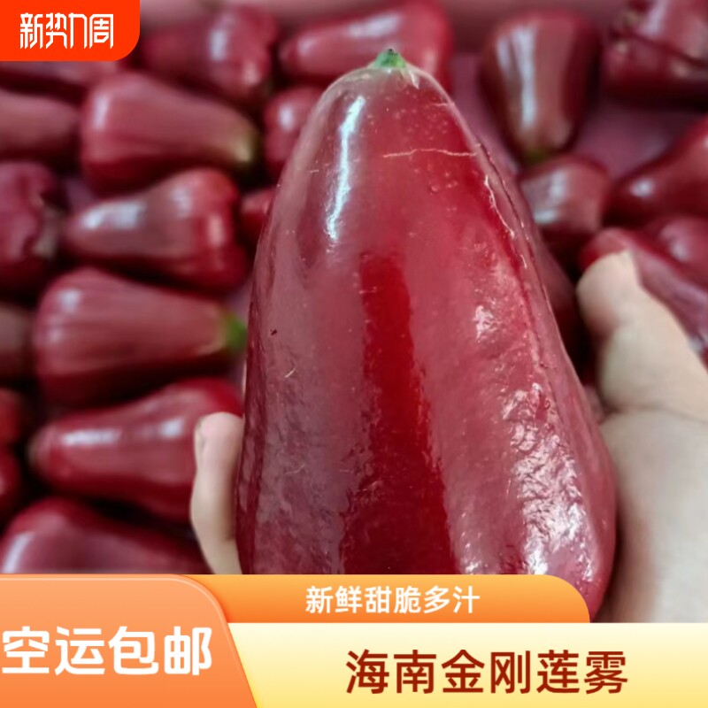 顺丰高端品种海南黑金刚莲雾水果莲雾果新鲜大果年货送礼品礼盒装