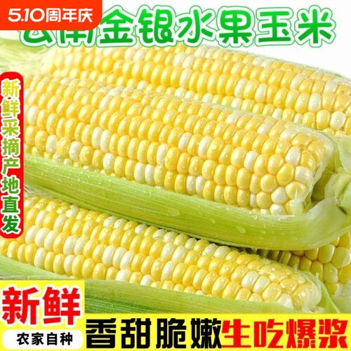 当季云南金银双色水果玉米新鲜甜嫩带壳大盒装甜玉米暴甜多汁精选