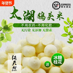 2025年鸡头米新鲜苏州特产芡实欠茨实正宗太湖苏芡冷冻当季非干货