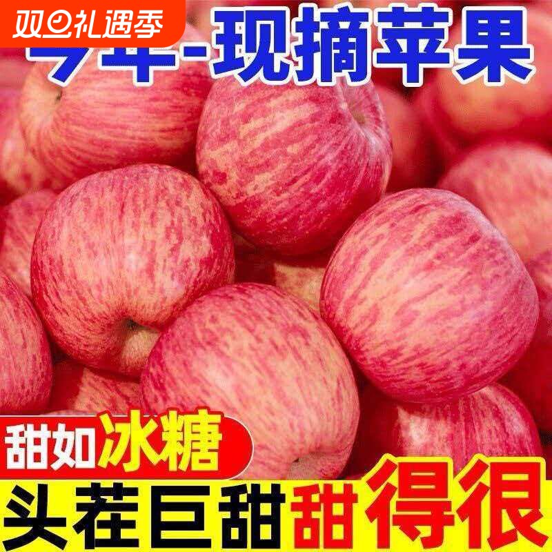正宗山西苹果高原水果新鲜当季红富士冰糖心一级脆甜产地直发现摘