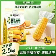 15左右【田园知己】五寨黄糯玉米黄糯8支装