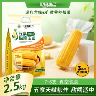 田园知己五寨黄糯玉米代餐低脂健身进口真空袋25年新头茬国企品质