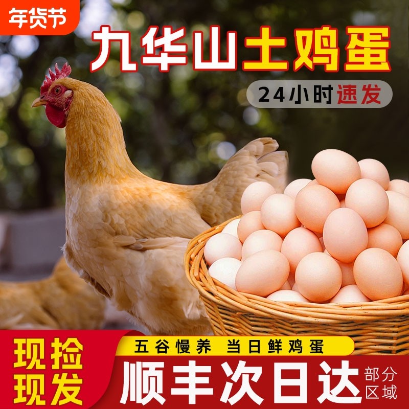 顺丰包邮正宗九华山土鸡蛋100枚整箱批发农家新鲜鸡蛋次日配送