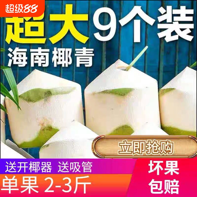 海南椰青新鲜椰子2/4/6/9个装孕妇水果香椰皇去皮一整箱特产包邮