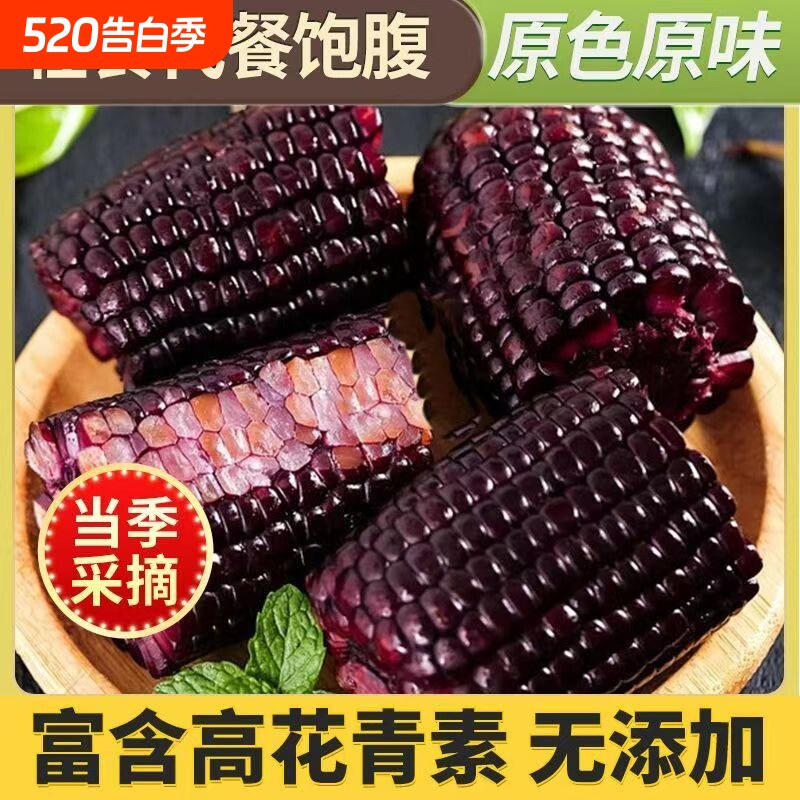 东北黑糯玉米甜糯玉米现摘免煮真空装低脂代餐辅食
