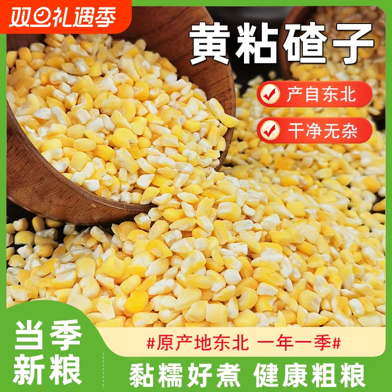 东北糯玉米糁 农家小粘碴子当季新粮粘苞米粒五谷杂粮粥黑土种植