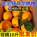 大果批发现摘 正宗纽荷尔脐橙子新鲜水果非江西赣州应当季 纯甜