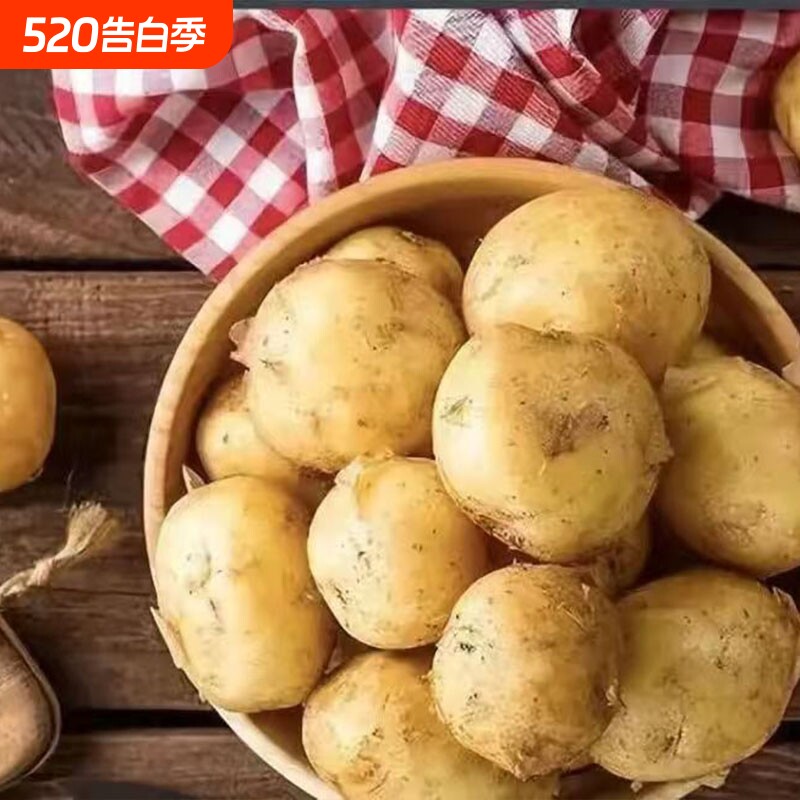 贵州特产黄心洋芋本地正宗土豆十斤高山应季新鲜蔬菜马铃薯