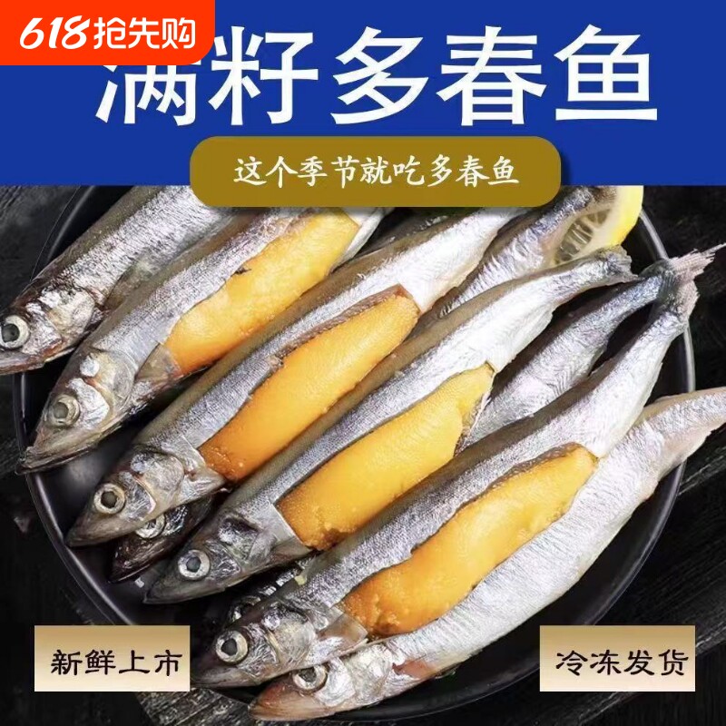 多春鱼满籽新鲜籽鱼冷冻海鲜水产鲜活海鱼烧烤食材生鲜批发年货节
