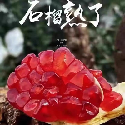 会理突尼斯软籽石榴新鲜水果包邮当季大果无籽石榴整箱礼盒