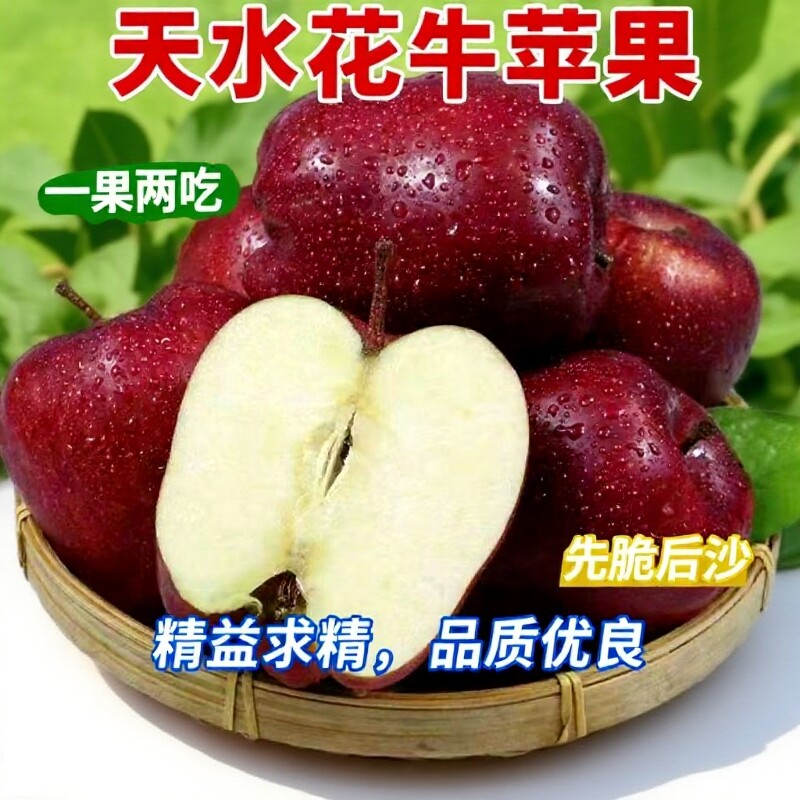 甘肃天水花牛苹果当季整箱糯苹果顺丰包邮产地精品新鲜水果年货节