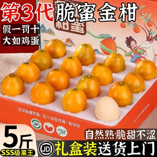 广西融安脆蜜金桔第三代金柑水果新鲜当季整箱独立包装礼盒甜脆皮