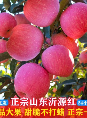 山东红富士沂源红苹果脆甜多汁