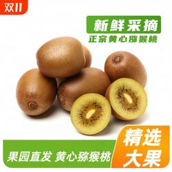 黄心猕猴桃 黄金奇异果金果猕猴桃当季 新鲜水果 生鲜 水果