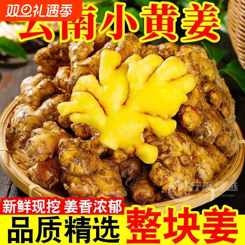 现挖云南小黄姜老生姜月子姜食用生姜新鲜蔬菜正宗辛辣小黄姜