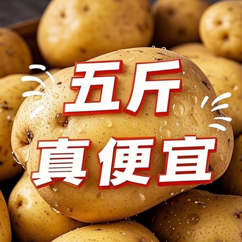 250g �й� ��������������������Ƥ���������������������������������ַ�