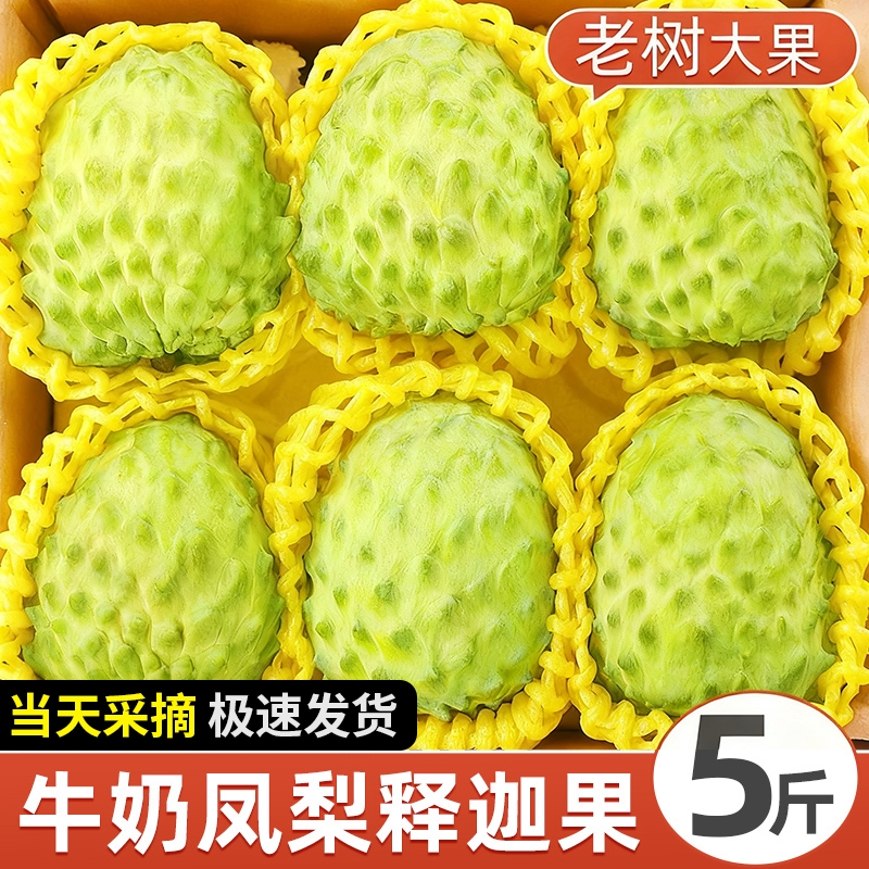 释迦果新鲜采摘老树特大果