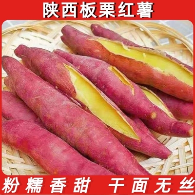现挖陕西临潼地瓜白薯黄白糖心蔬菜板栗山芋番蜜干面甜爆皮红薯