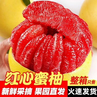 【爆甜啊】福建红心柚子新鲜水果当季小柚品种红柚平和红肉蜜柚子