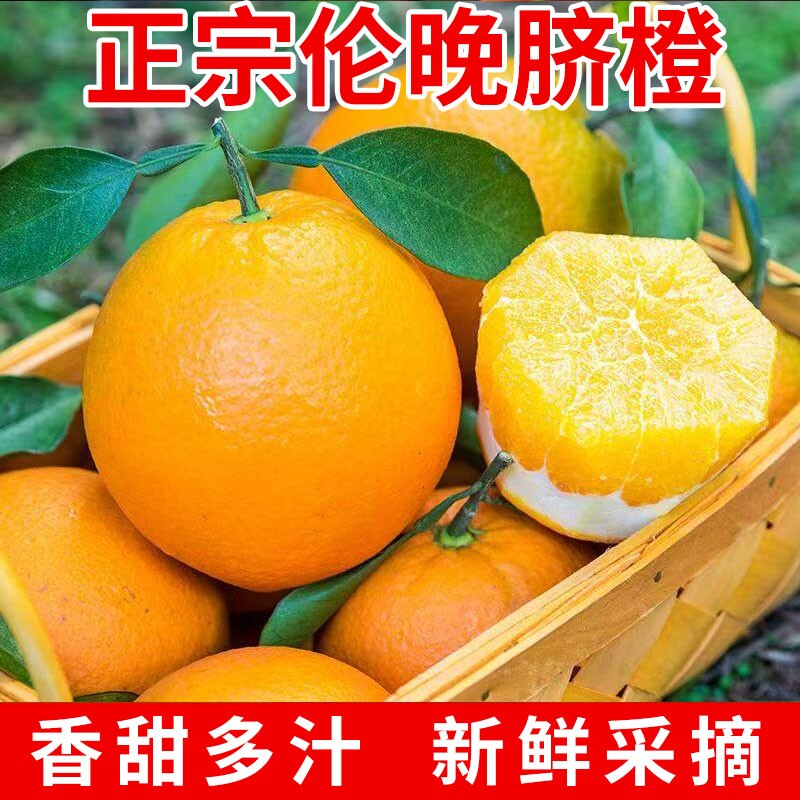正宗秭归脐橙现摘新鲜水果橙子果冻橙手剥冰糖甜橙应当季整箱橙意