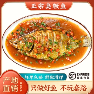 安徽黄山特产臭鳜鱼腌制半成品臭桂鱼正宗徽菜SF新鲜水产真空大厨