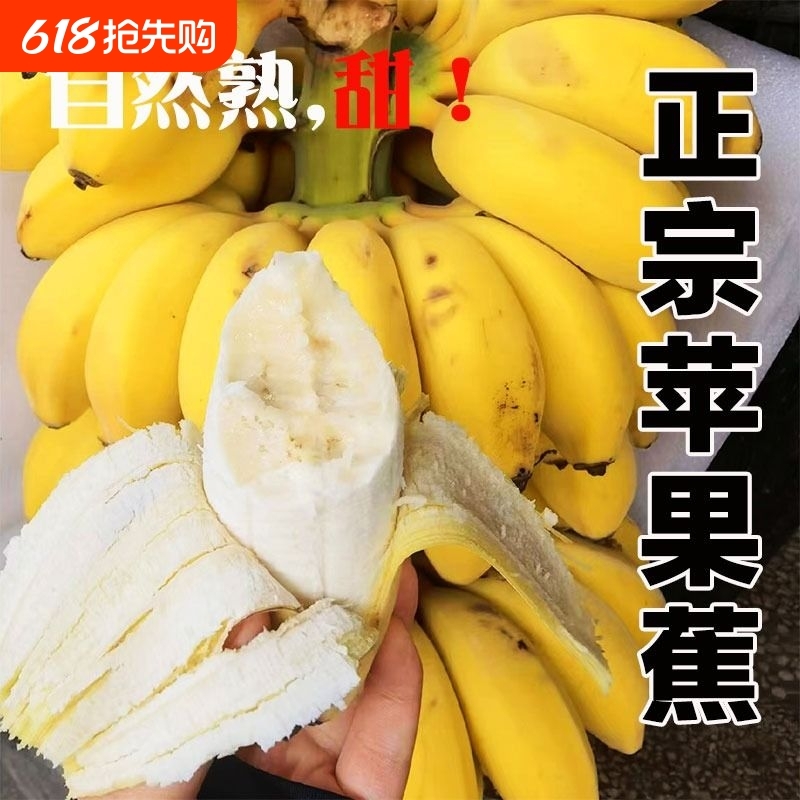 正宗苹果蕉大果无添加
