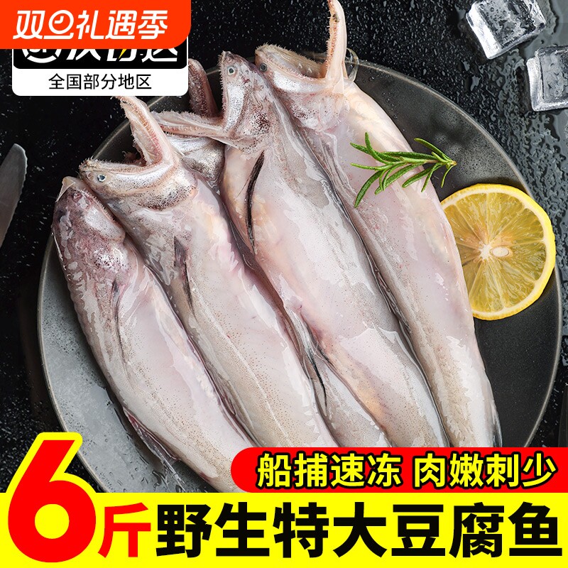 冰鲜东海龙头鱼豆腐鱼舟山特产新鲜海鲜九肚鱼生鲜水潺海鲜活冷冻