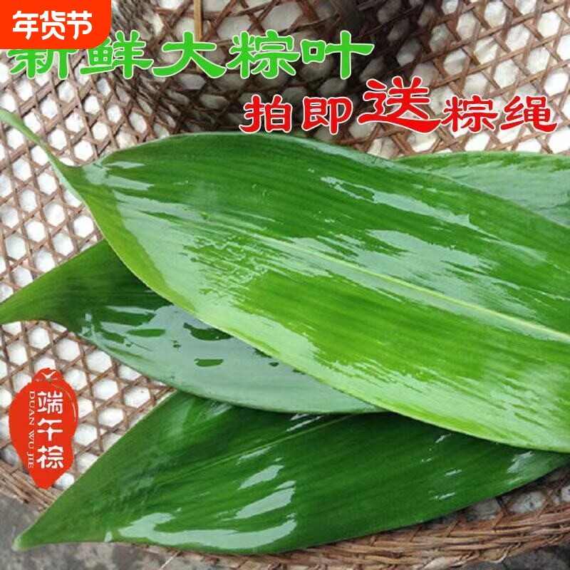 粽叶新鲜粽子叶真空装鲜粽叶野生小箬叶棕叶纯天然人工采摘批发