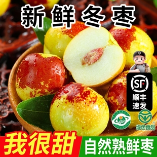正宗陕西大荔冬枣新鲜水果当季 大红枣子特大整箱5斤鲜枣送礼 应季