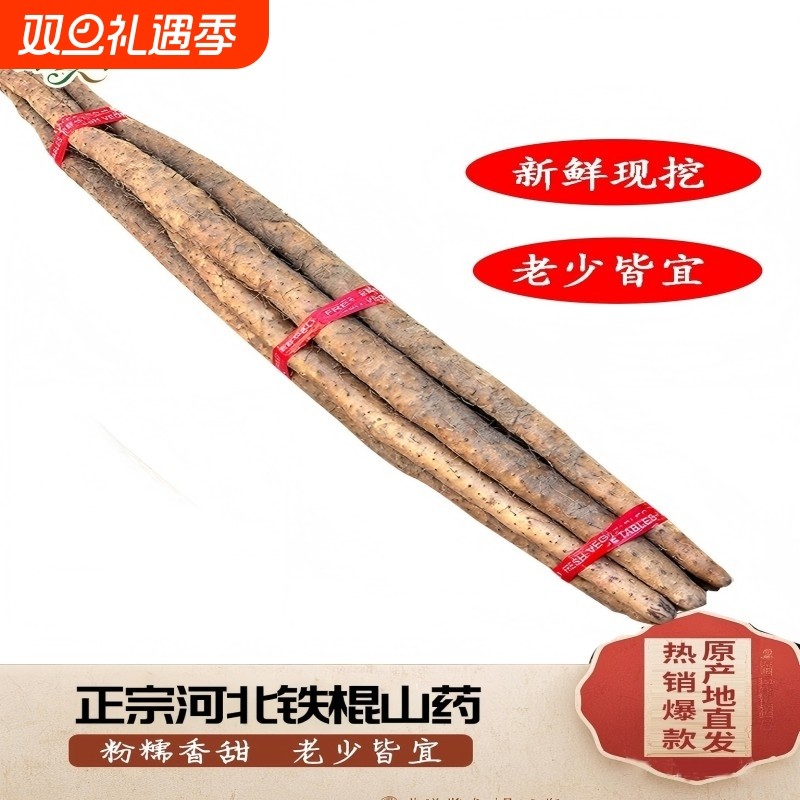 河北正宗铁棍山药新鲜山药直发宝宝辅食自提怀山纯正原产地