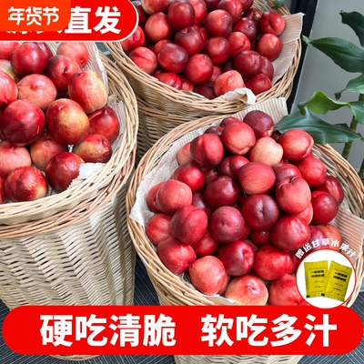 新鲜油桃硬吃爽脆，软吃多汁桃香