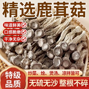 鹿茸菇干货特级500g官方旗舰店商用云南野生煲汤料包新鲜干鹿茸菌