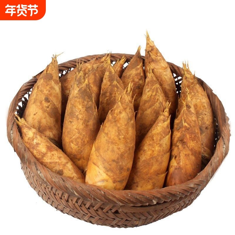 冷链现挖新鲜冬笋毛竹笋高山野生黄泥楠竹笋现发带壳批发次日天目