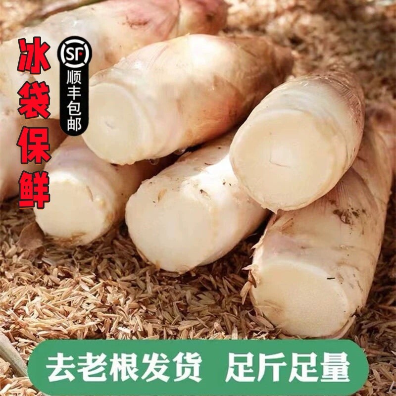 顺丰包邮 雷竹笋 【浙江发货】新鲜雷笋现挖产地直发农家嫩笋整箱