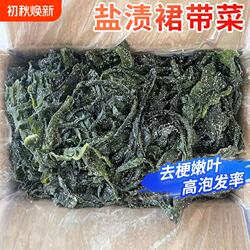 大连特产盐渍裙带菜半干货5斤海带嫩苗丝海白菜非特级0旗舰店新鲜