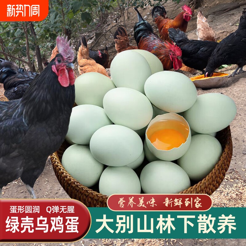 绿壳乌鸡蛋50枚大别山散养孕妇虫草蛋儿童正宗农家土鸡蛋新鲜山林