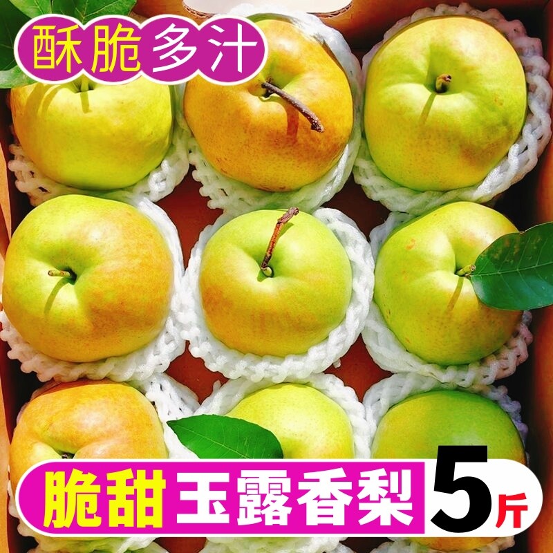 多汁正宗玉露香梨新鲜梨子水果薄皮当季应季非库尔勒包邮脆甜精选