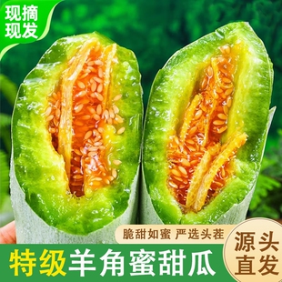 正宗现摘山东羊角蜜甜瓜新鲜水果蜜瓜香瓜密瓜当季脆博洋果