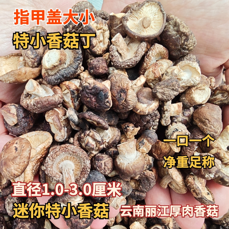 特小香菇干货迷你小香姑丁小蘑菇农家干香菇云南丽江厚肉香菇净重