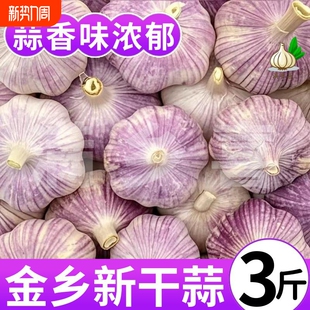 山东紫白皮大蒜头干蒜批发红皮大蒜子特级大蒜便宜 大甩卖