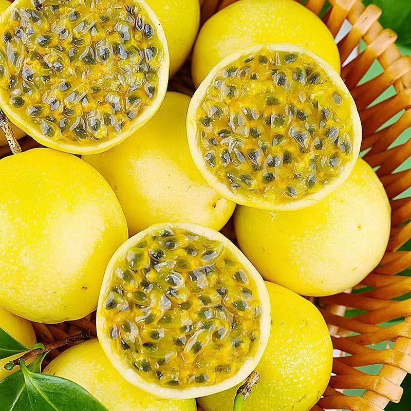 正宗钦蜜 9号黄金百香果新鲜百香果应季孕妇鲜果当季整箱批发包邮