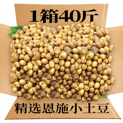 恩施小土豆新鲜马铃薯5斤正宗黄心洋芋现挖蔬菜10马铃薯包