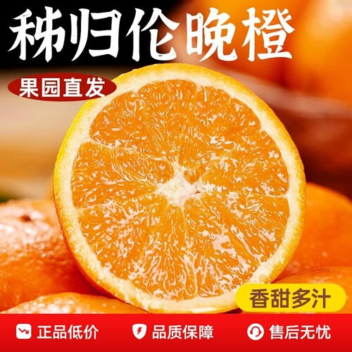 橙子伦晚脐橙湖北秭归新鲜10斤大果甜春橙手剥橙整箱当季水果现摘