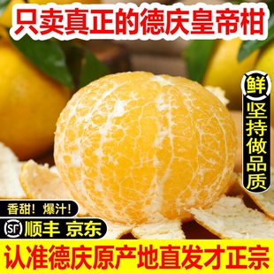 产地直发正宗德庆皇帝柑贡柑当季新鲜水果桔橘子大果10整箱批发