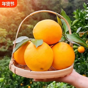 正宗赣南脐橙特级大果20斤江西赣州寻乌橙子新鲜甜水果产地直发10