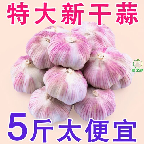 金乡大蒜5斤蒜香浓郁新晒28天