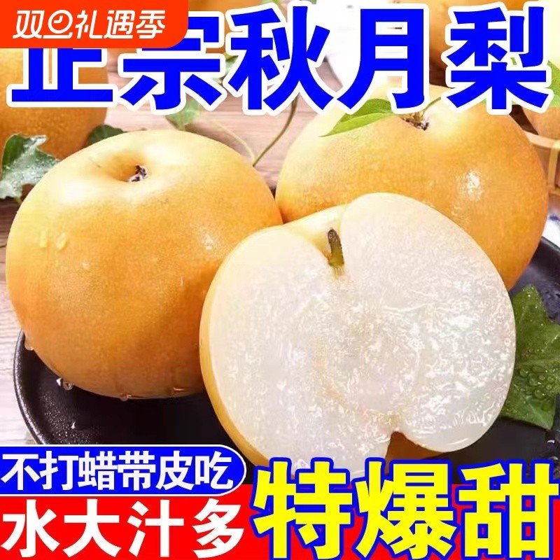 正宗秋月梨精选大果脆甜多汁现摘当季时令新鲜水果产地直发整箱