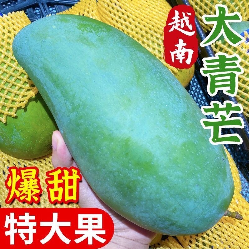 正宗越南进口大青芒水果金煌芒青皮芒果应季热带口岸新鲜直达包邮
