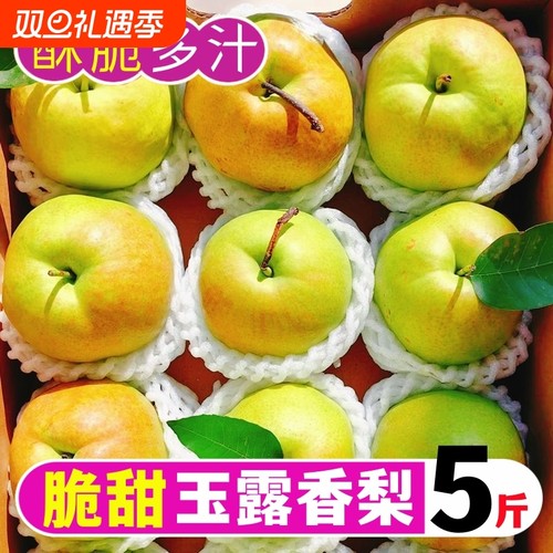 脆甜玉露香梨鲜果产地直发
